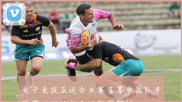 mk体育