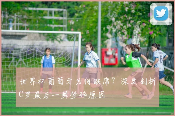 世界杯葡萄牙为何缺席？深度剖析C罗最后一舞梦碎原因